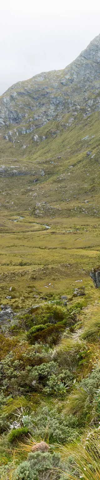 Great Walks - Routeburn Track